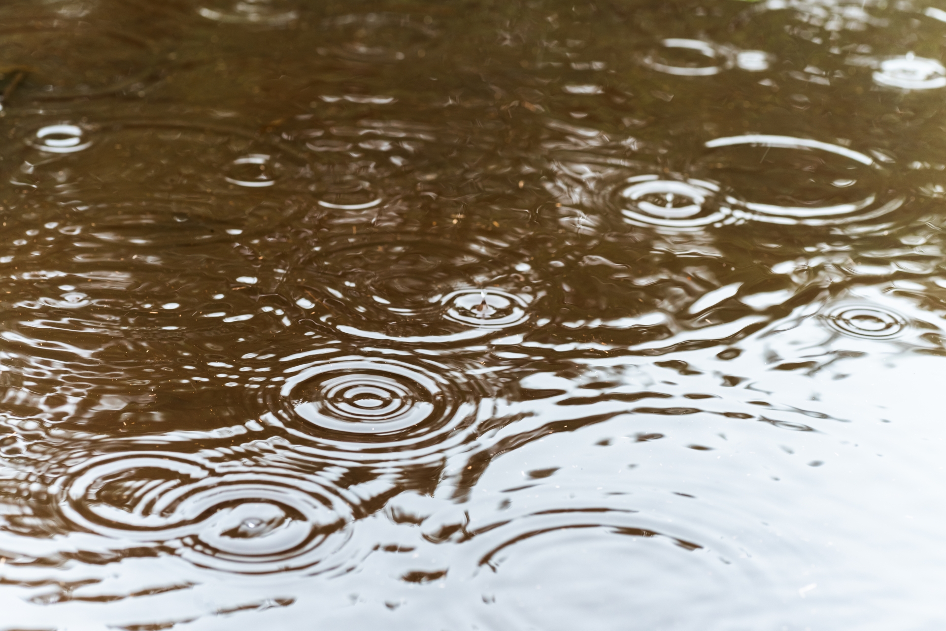雨水を活用する家づくりに適した土地の条件とは
