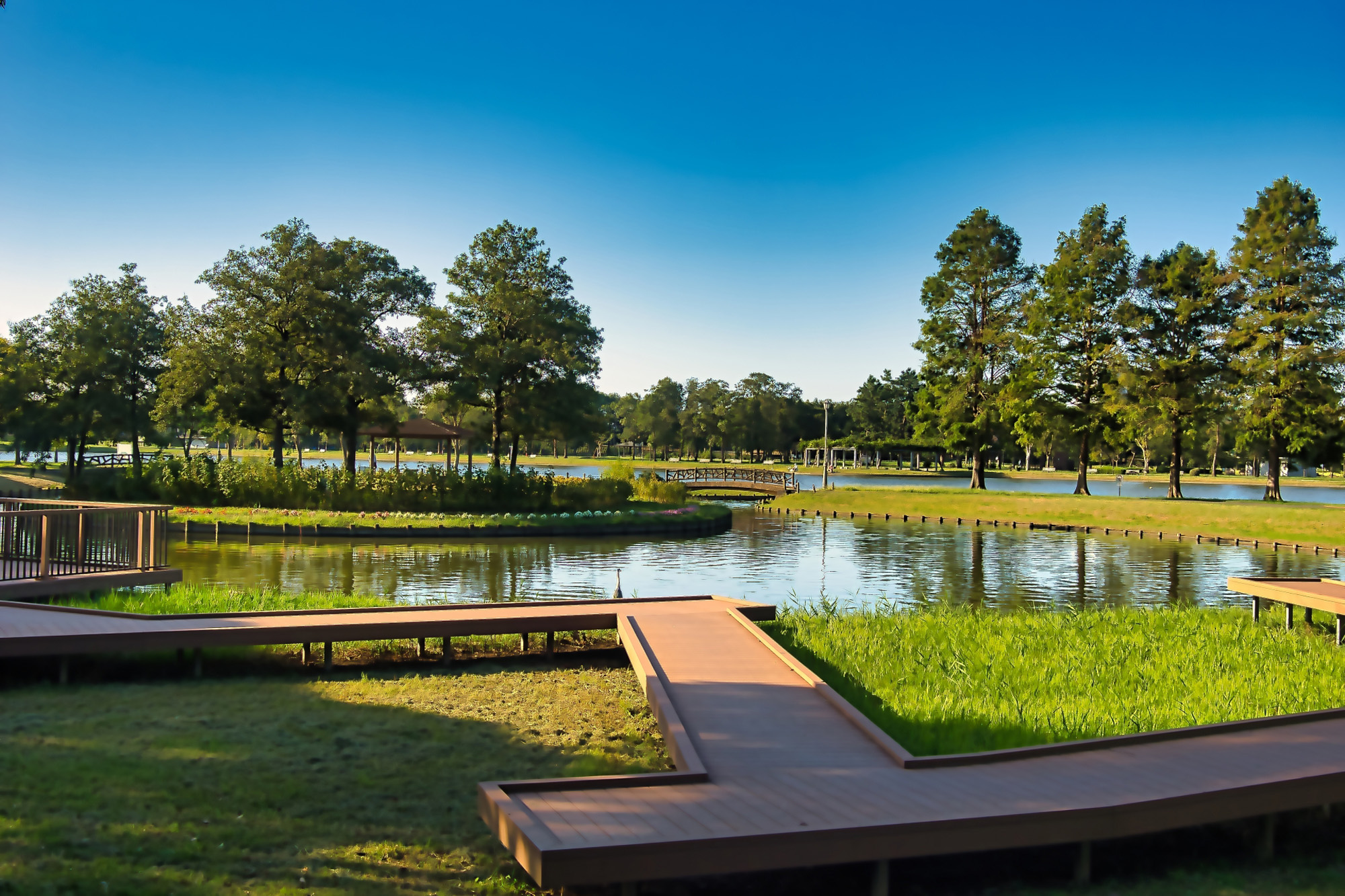 近くの公園や緑地を活かした自然と共生する土地探し