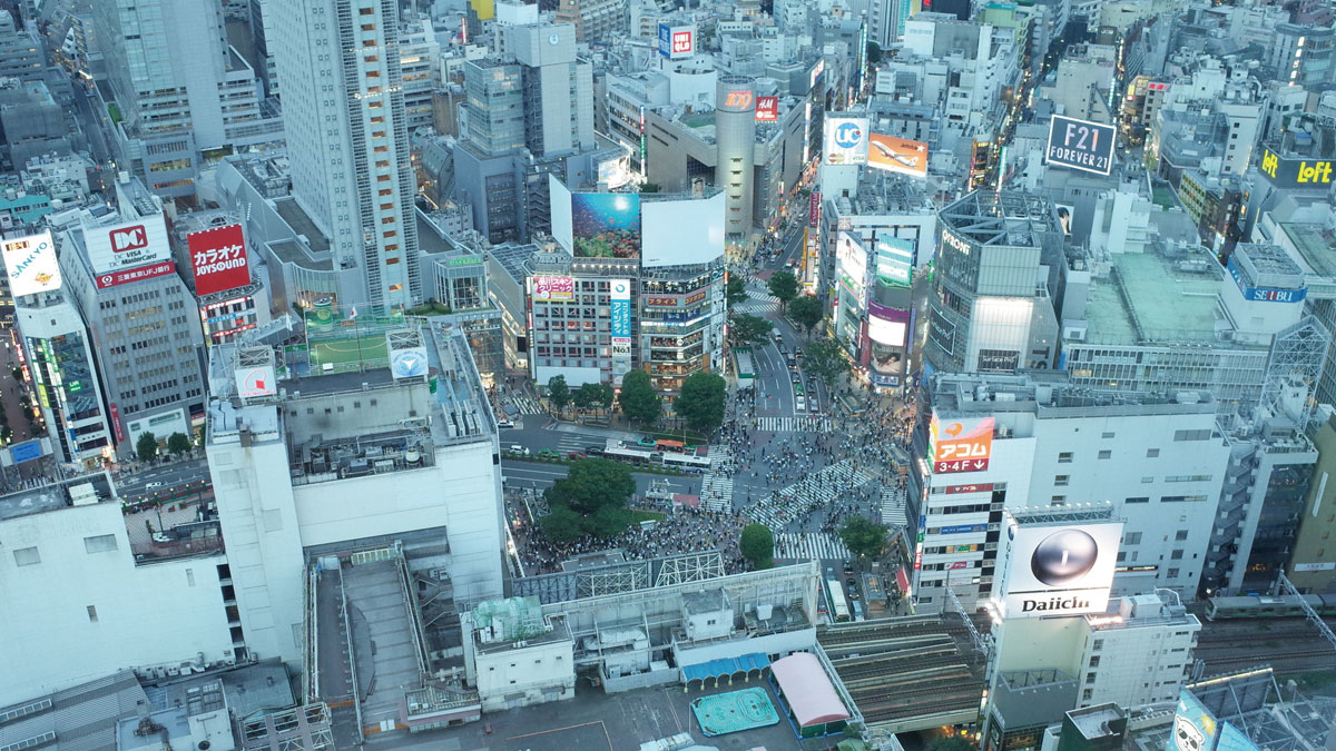 緑がたくさん!健康も安全も教育もサービスが充実した渋谷区の土地探し